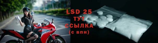 экстази Кукмор